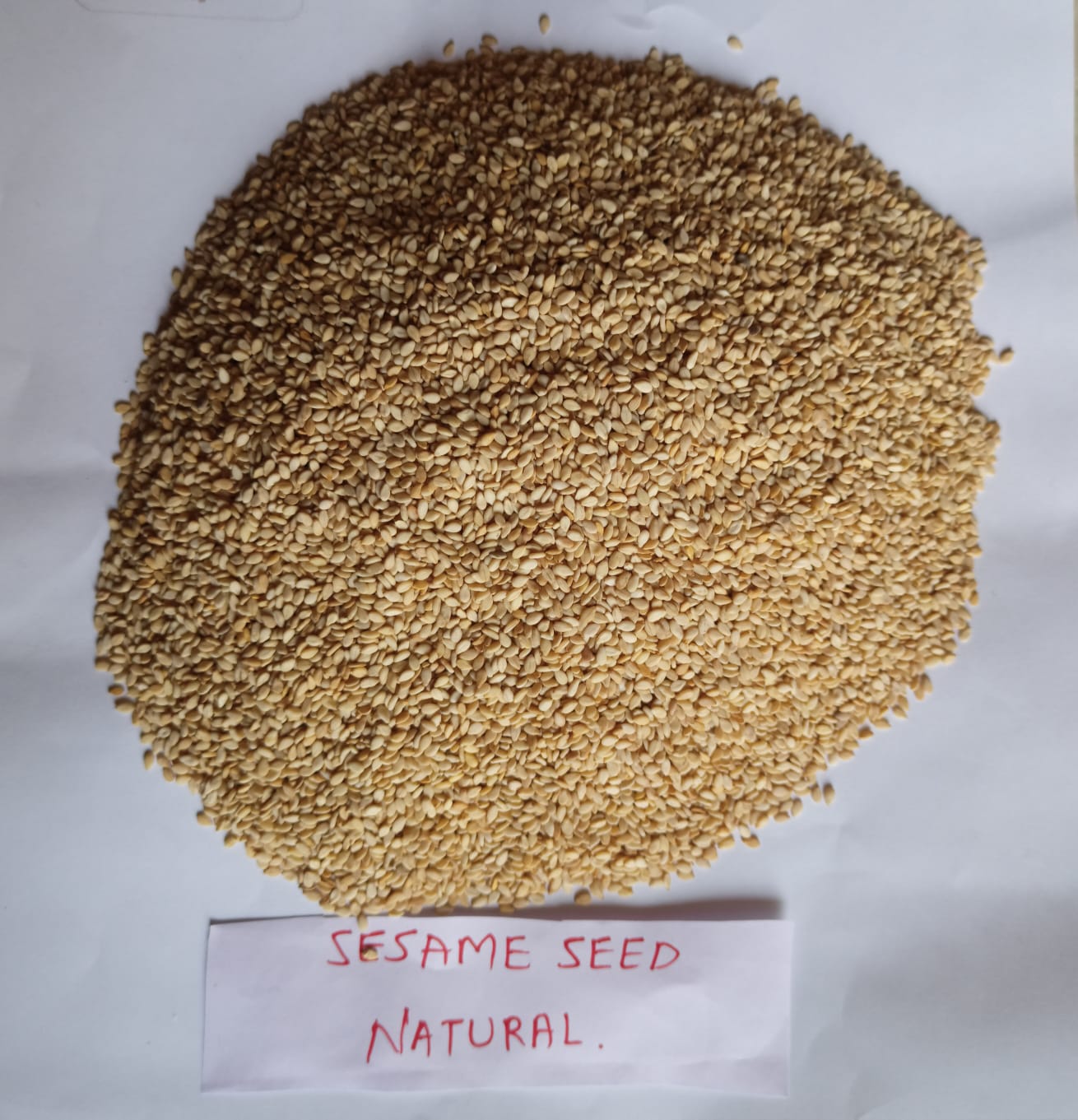 White Sesame Seeds